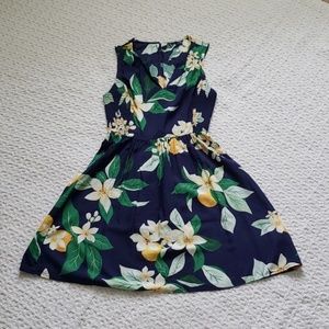 Old Navy Dress